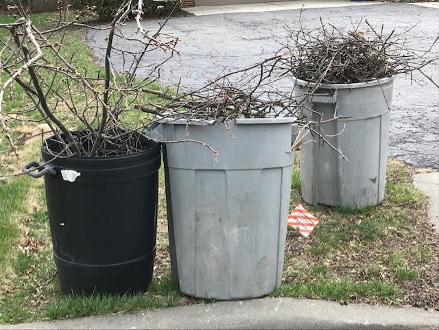 Yard Waste Bin Guide 2
